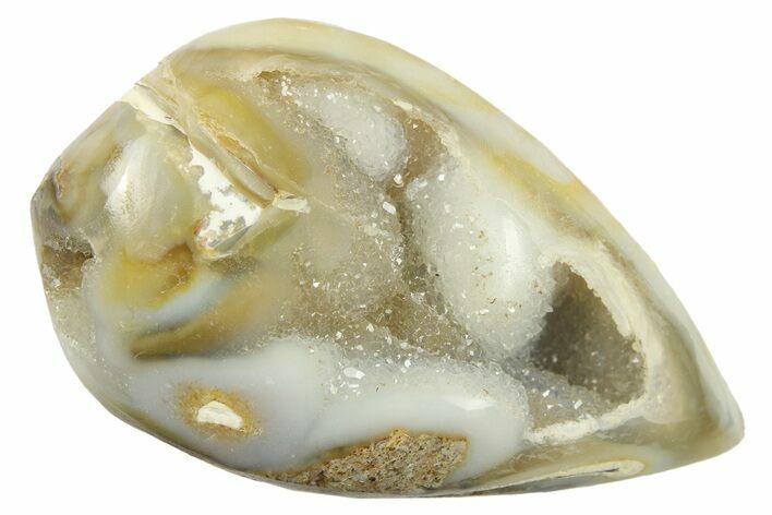 Chalcedony Replaced Gastropod With Sparkly Quartz - India #269840